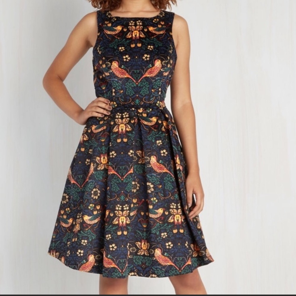 NWT Eva Franco Bird Dress L NWT